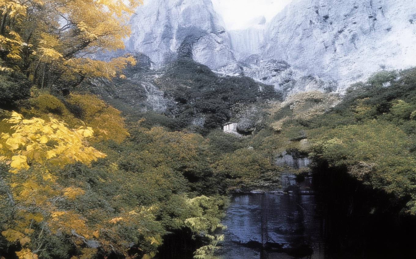 Learning Chinese Word: 夏日李公见访