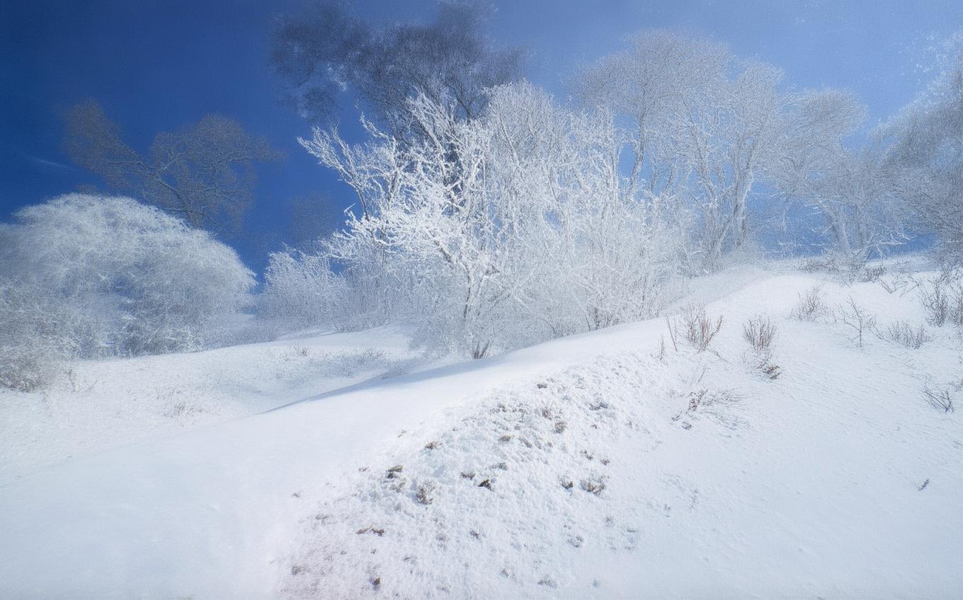 Learning Chinese Word: 无题·闻道阊门萼绿华